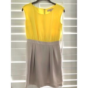 Loft Colorblock Sheath Dress